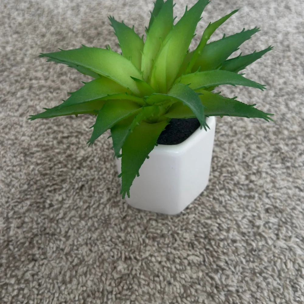 Target Faux Green Succulent artificial plant in white Planter 3”x6”